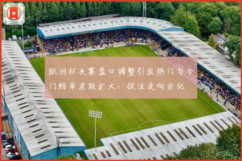 欧洲杯决赛盘口调整引发热门与冷门赔率差距扩大,投注走向分化