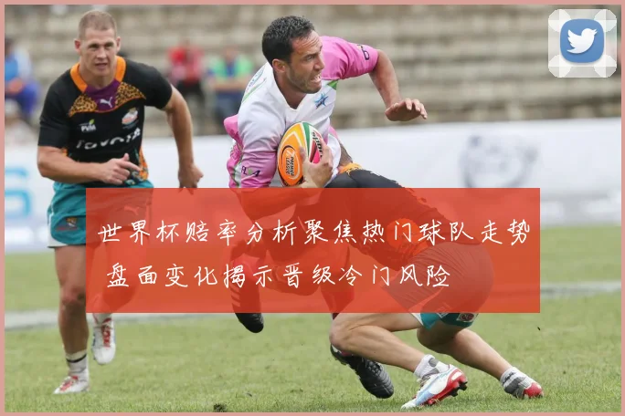 世界杯赔率分析聚焦热门球队走势 盘面变化揭示晋级冷门风险