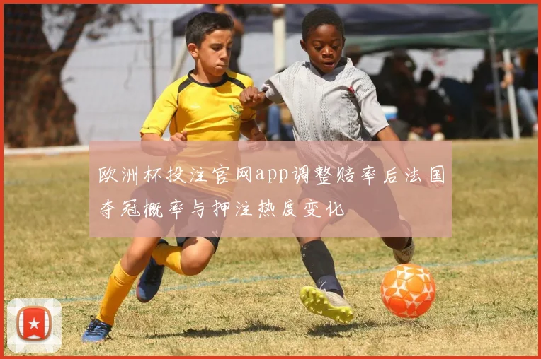欧洲杯投注官网app调整赔率后法国夺冠概率与押注热度变化