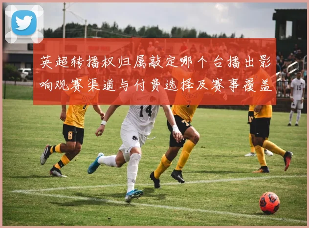 英超转播权归属敲定哪个台播出影响观赛渠道与付费选择及赛事覆盖