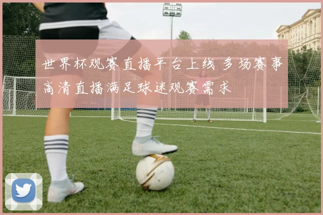 世界杯观赛直播平台上线 多场赛事高清直播满足球迷观赛需求