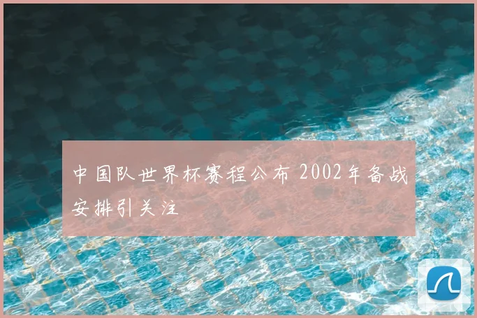 中国队世界杯赛程公布 2002年备战安排引关注