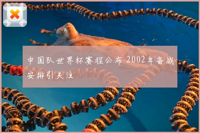 中国队世界杯赛程公布 2002年备战安排引关注