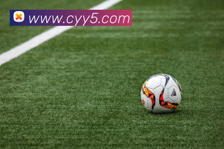 安博站官网入口服务体系